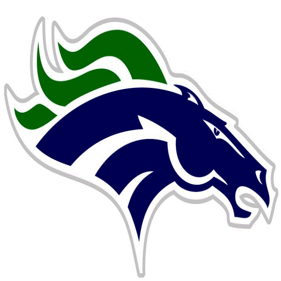 South County High School logo